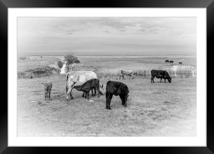 Farming in the Norfolk Marshland Framed Mounted Print by Jim Key