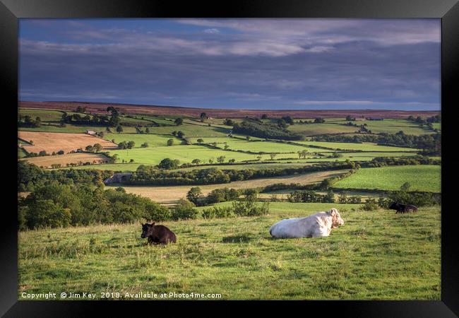 Eskdale Valley Yorkshire Framed Print by Jim Key