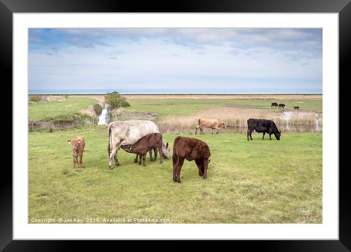 The Norfolk Marshes Framed Mounted Print by Jim Key