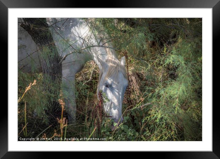 Camargue White Horse Framed Mounted Print by Jim Key
