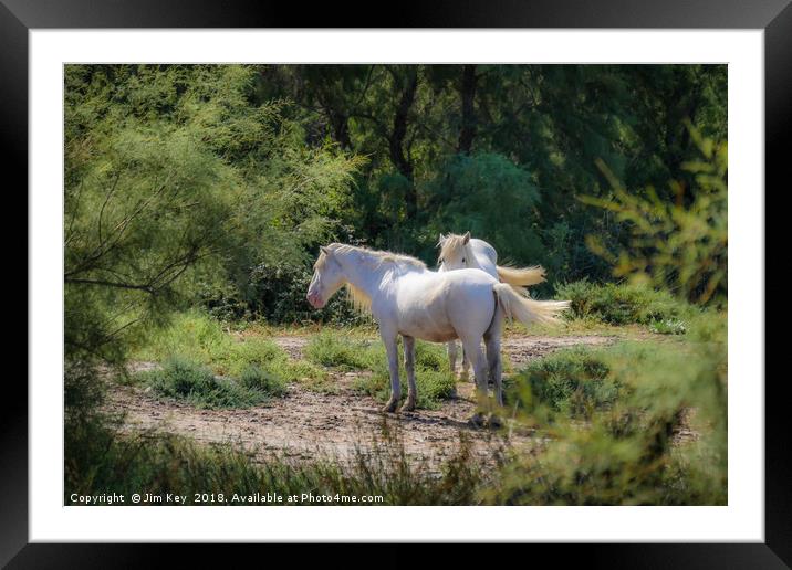 Camargue White Horses Framed Mounted Print by Jim Key