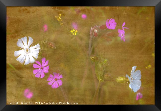 Wildflowers in Abstract Framed Print by Jim Key