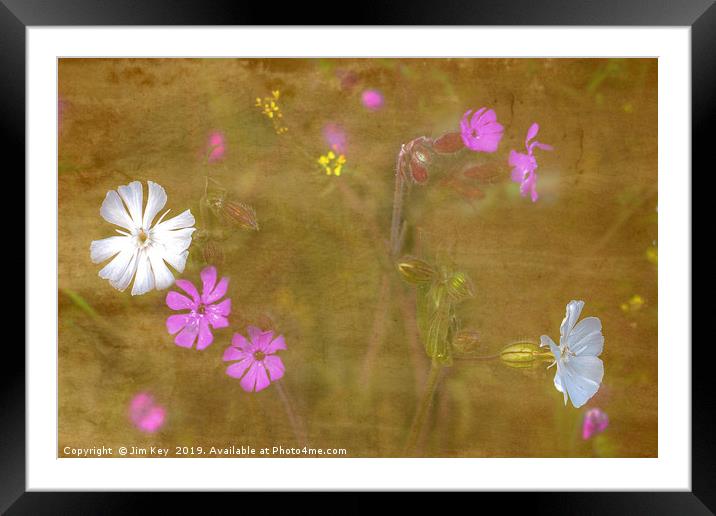 Wildflowers in Abstract Framed Mounted Print by Jim Key
