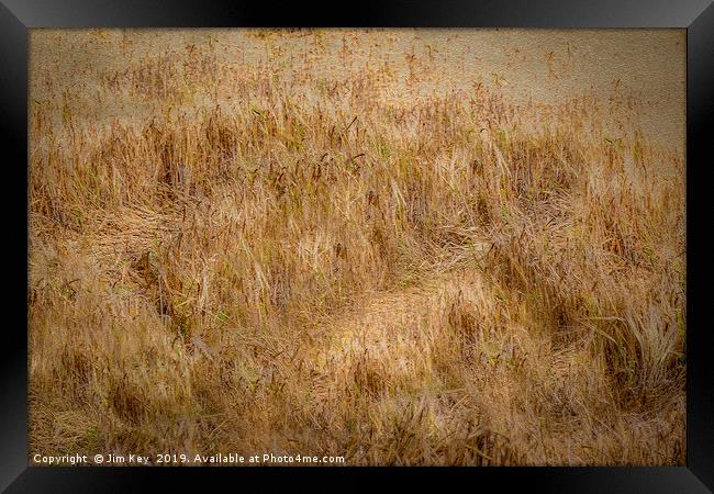 Harvest Digital Art Framed Print by Jim Key