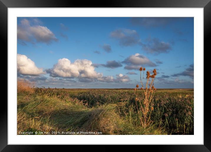 Copper Teasel on Salthouse Marsh Framed Mounted Print by Jim Key