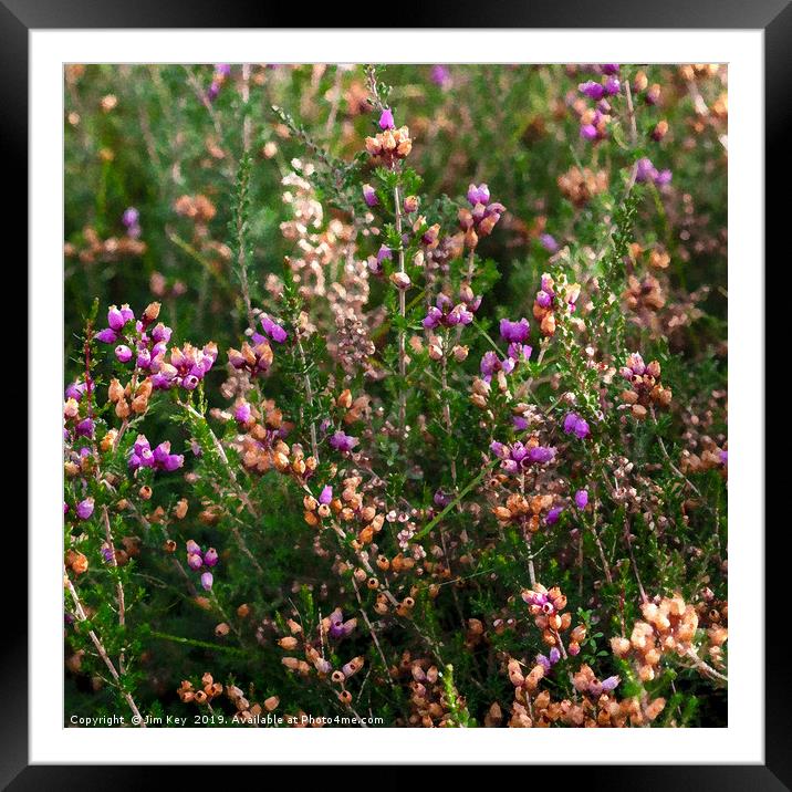 Bell Heather Digital Painting Framed Mounted Print by Jim Key