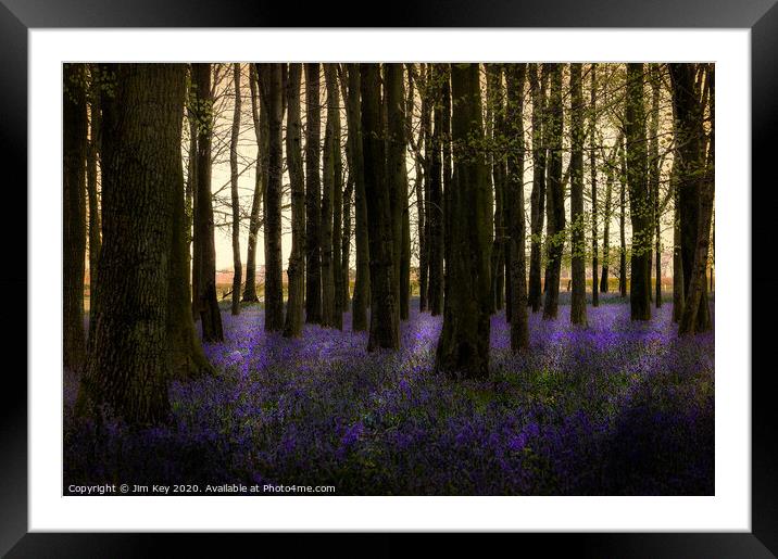 Blubell Wood Dawn Framed Mounted Print by Jim Key