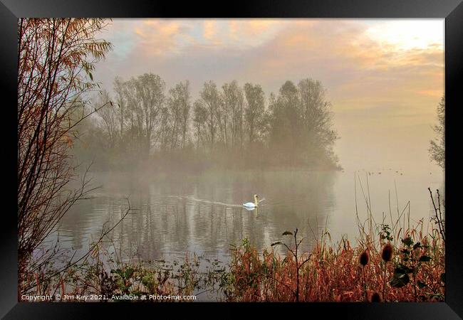 White Swan at Sunrise   Framed Print by Jim Key