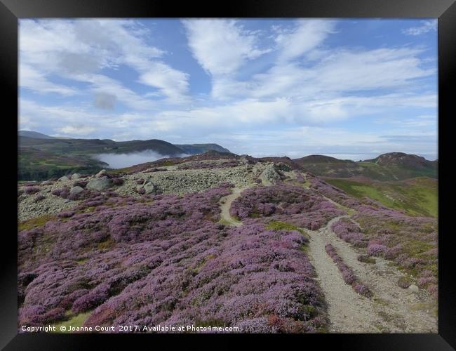 Mount Conway heather and path contours copied in t Framed Print by Joanne Court