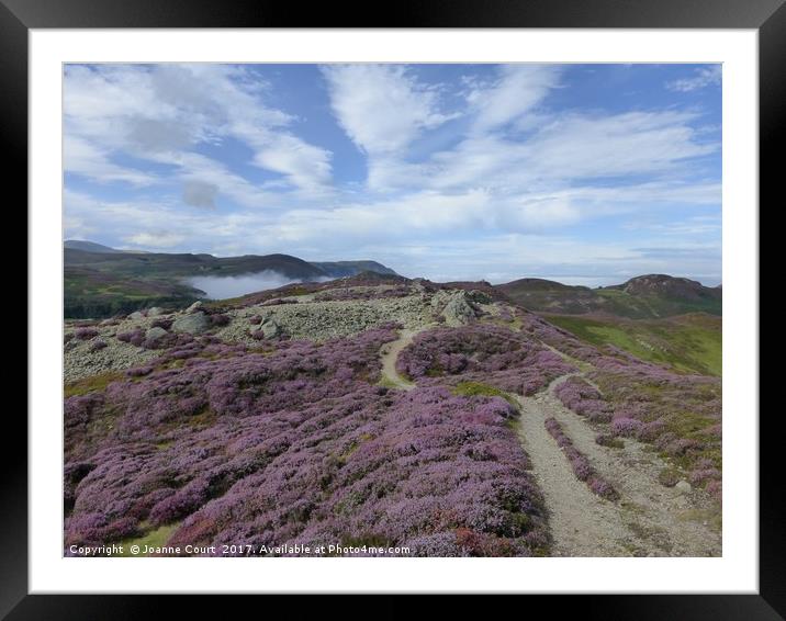 Mount Conway heather and path contours copied in t Framed Mounted Print by Joanne Court