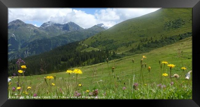 Swiss alps in summer time. Framed Print by Joanne Court