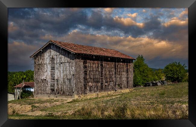 The Old Tobacco Drying Barn Framed Print by Dave Williams