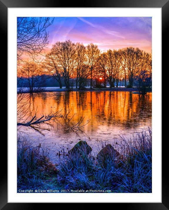 Sunrise at Yateley Green Pond, Yateley, Hampshire Framed Mounted Print by Dave Williams