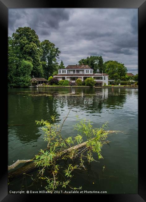 Henley On Thames Framed Print by Dave Williams