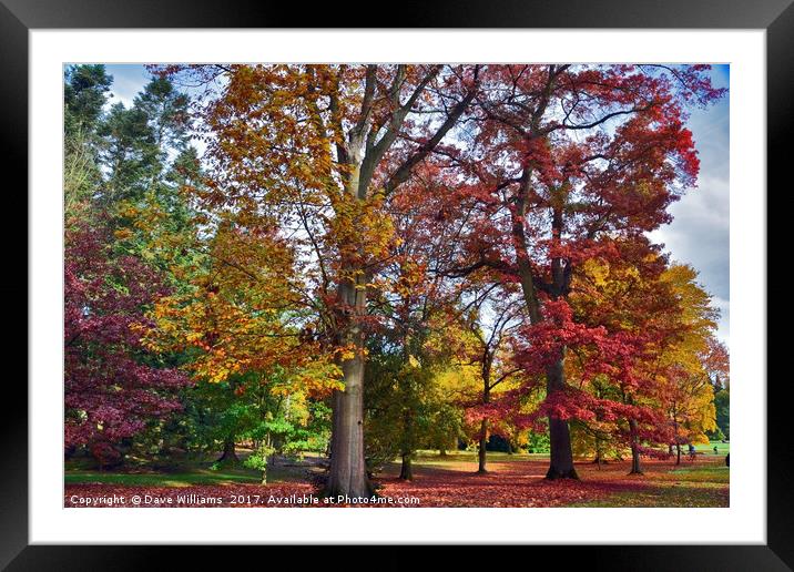 Autumnal colours in Virginia Water Lake      Framed Mounted Print by Dave Williams
