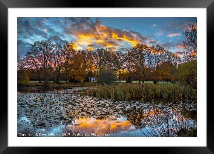 Fire in the sky! Framed Mounted Print by Dave Williams