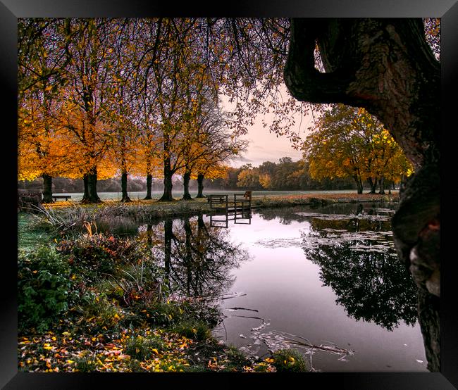 Dawn at Yateley Green Pond Framed Print by Dave Williams