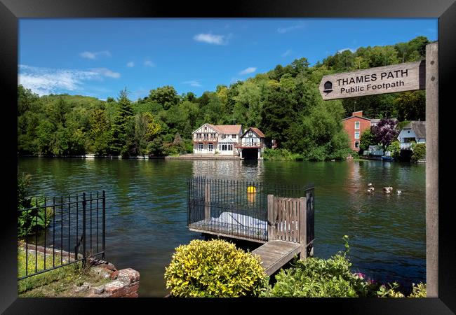 Life on the Thames Path at Henley-on-Thames Framed Print by Dave Williams