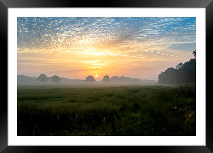 Glorious Morning Framed Mounted Print by Dave Williams