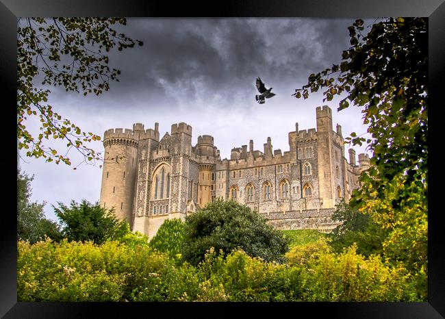 The Medieval Arundel Castle Framed Print by Dave Williams