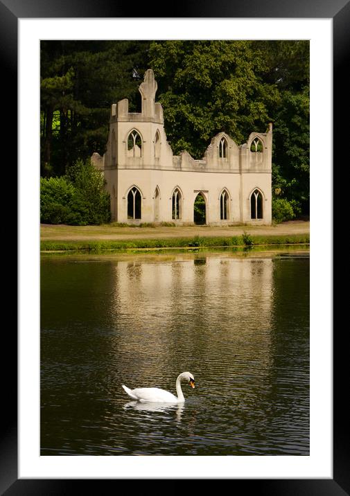 The Ruined Abbey Framed Mounted Print by Dave Williams