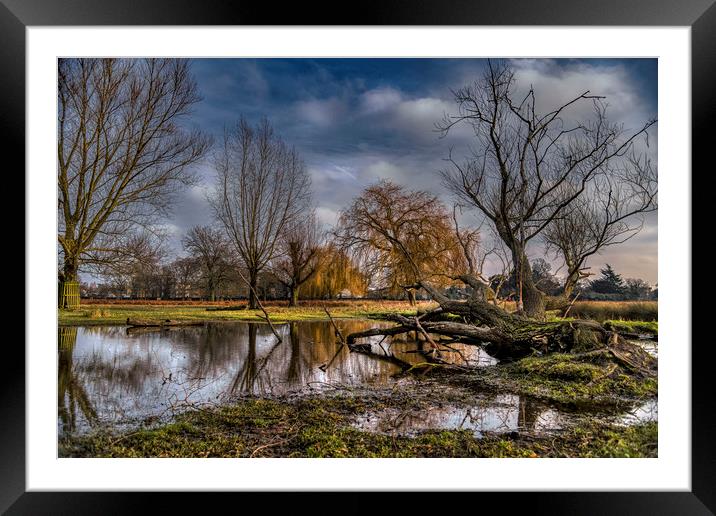 Pond Reflections Framed Mounted Print by Dave Williams
