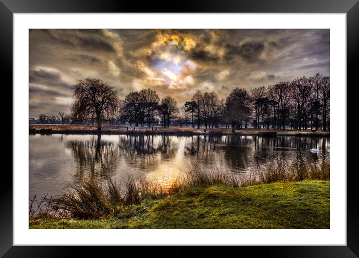 Sunrise at Bushy Park Framed Mounted Print by Dave Williams