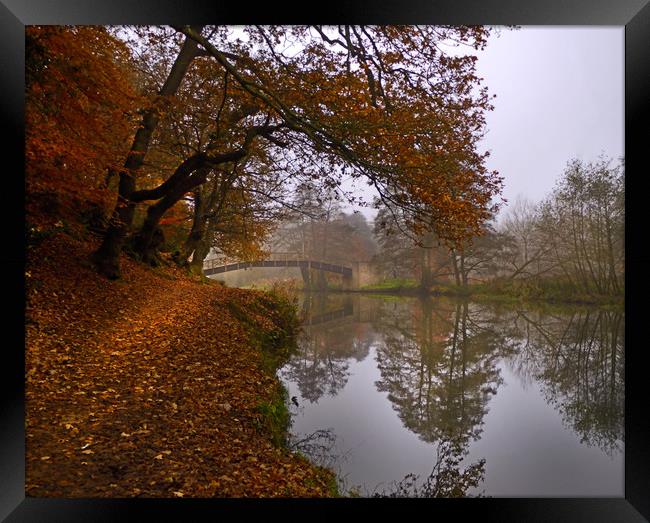 Autumn morning o the River Wey Framed Print by Dave Williams