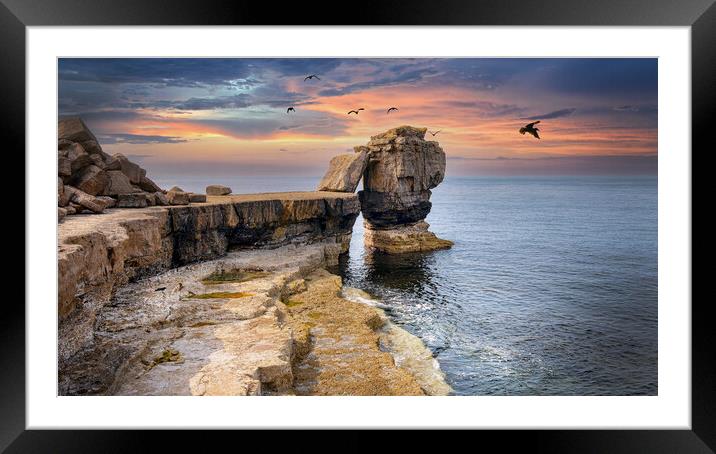 Pulpit Rock at Portland Bill _ Dorset Framed Mounted Print by Dave Williams