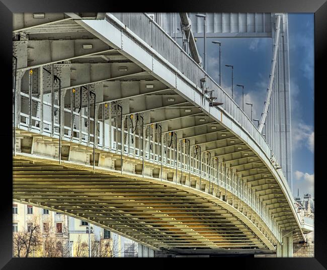 Beneath The Elisabeth Bridge in Budapest Framed Print by Dave Williams