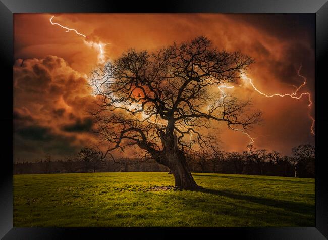 Hells Bells _ Thunderstruck Tree Framed Print by Dave Williams