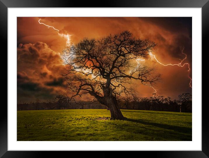 Hells Bells _ Thunderstruck Tree Framed Mounted Print by Dave Williams
