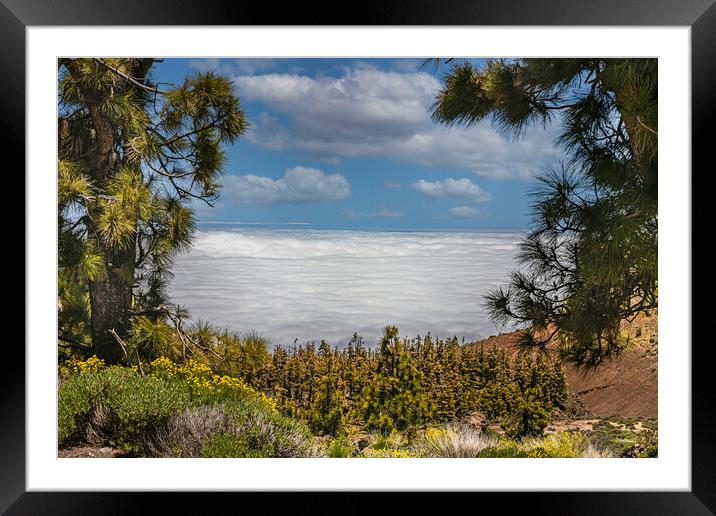 Mount Teide Cloud Inversion Framed Mounted Print by Dave Williams