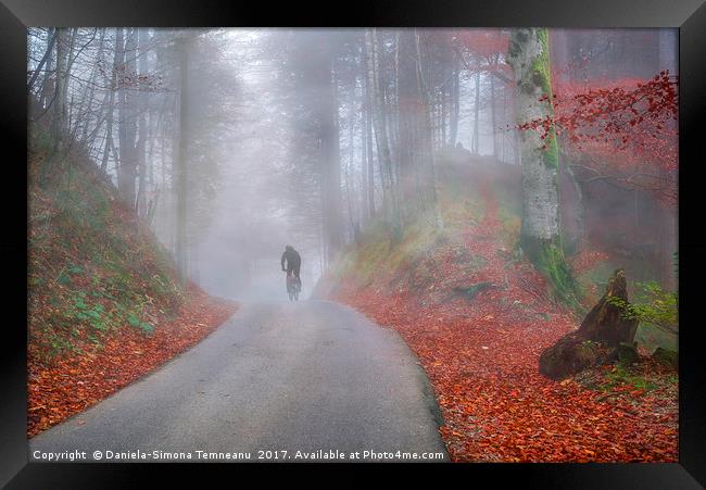 Autumn forest shrouded by cold fog Framed Print by Daniela Simona Temneanu