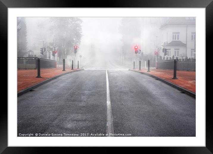 Boulevard in Slovenia surrounded by mist Framed Mounted Print by Daniela Simona Temneanu