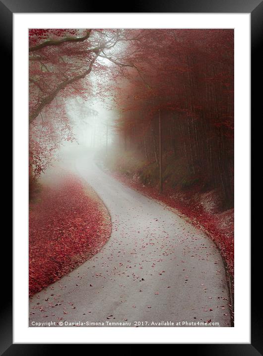 Endless road through a misty forest Framed Mounted Print by Daniela Simona Temneanu
