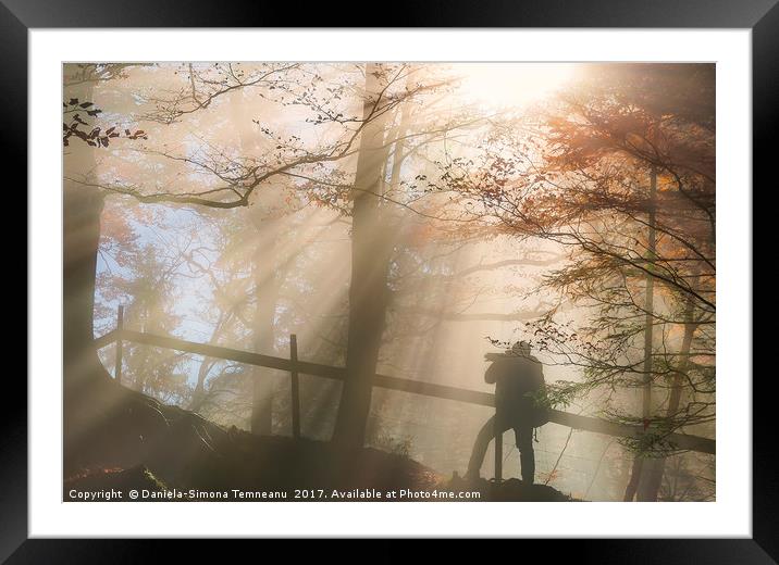 Silhouette of a man under sun rays in autumn color Framed Mounted Print by Daniela Simona Temneanu