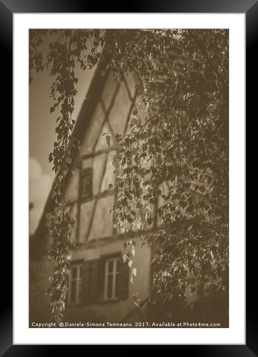 Birch leaves with house in background Framed Mounted Print by Daniela Simona Temneanu