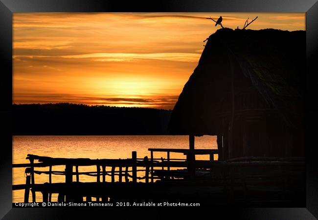 Silhouette of a cottage and bird  at sunset Framed Print by Daniela Simona Temneanu