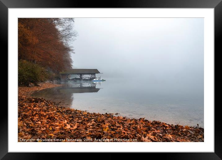 Dock on lake in autumn fog Framed Mounted Print by Daniela Simona Temneanu