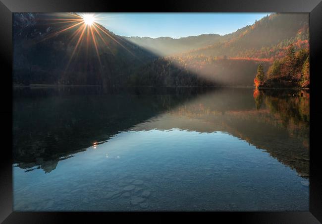 Morning sunshine over lake and autumn forest Framed Print by Daniela Simona Temneanu