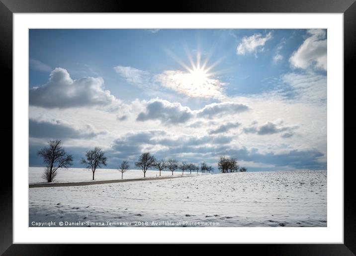String of trees and snowy fields  Framed Mounted Print by Daniela Simona Temneanu