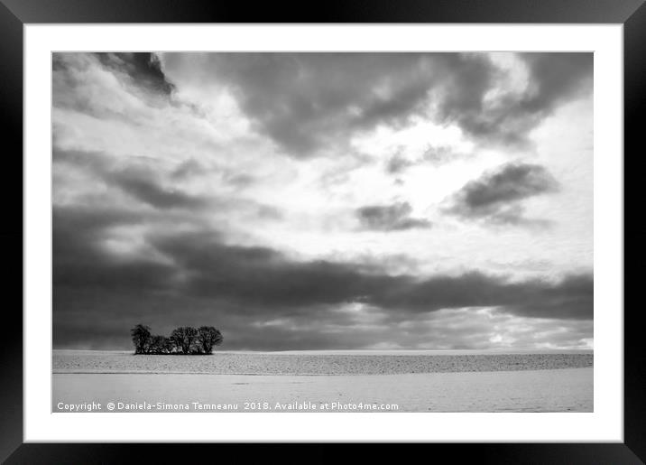 Monochrome winter scenery with trees and snow Framed Mounted Print by Daniela Simona Temneanu