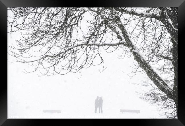 People silhouette while a snow blizzard Framed Print by Daniela Simona Temneanu