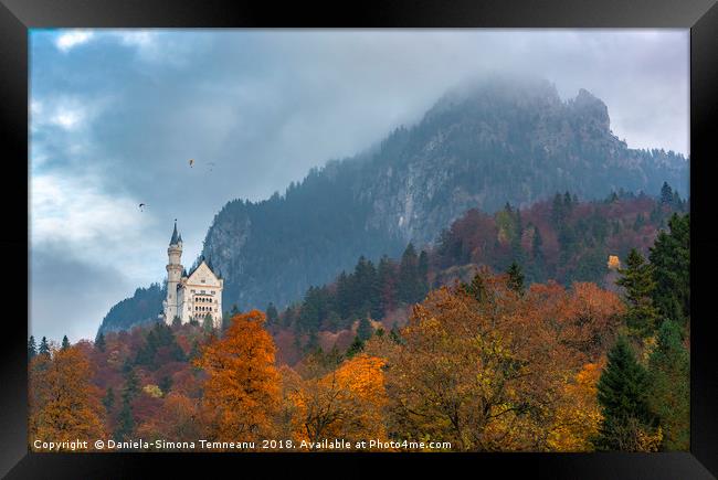 Autumn colored forest in Bavarian Alps Framed Print by Daniela Simona Temneanu
