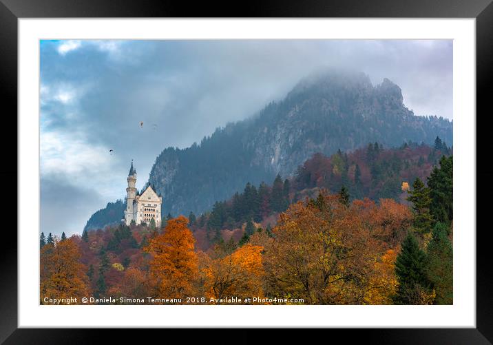 Autumn colored forest in Bavarian Alps Framed Mounted Print by Daniela Simona Temneanu