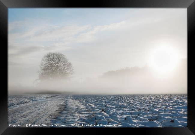 Cold mist over snowy road and tree Framed Print by Daniela Simona Temneanu