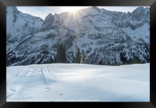 Snow-capped Alps and icy snow valley Framed Print by Daniela Simona Temneanu