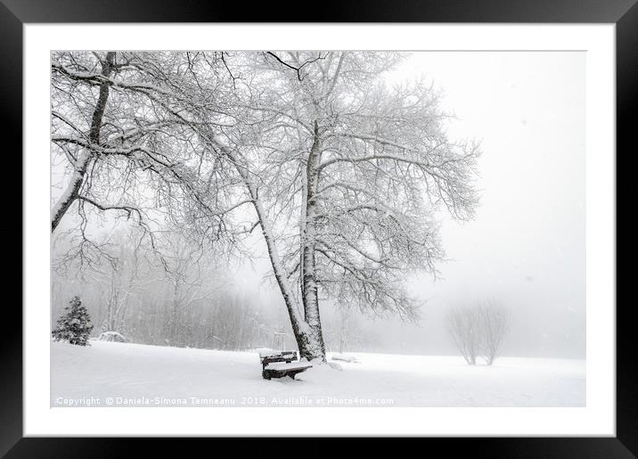 Snowing in a park Framed Mounted Print by Daniela Simona Temneanu