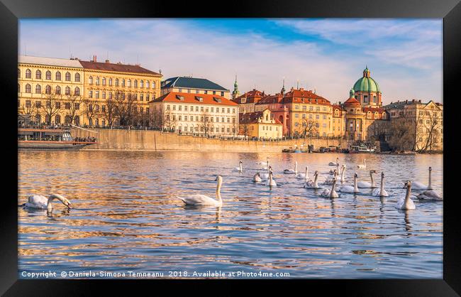 Prague cityscape and the Vltava river Framed Print by Daniela Simona Temneanu